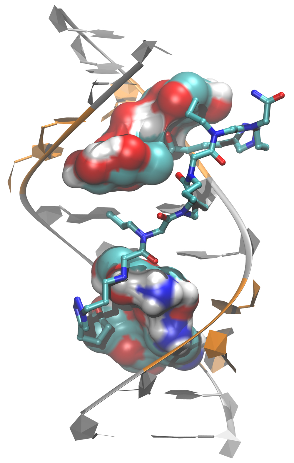 Small molecule RNA binding visualization