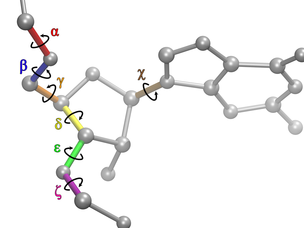 RNA torsion visualization
